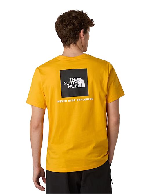 THE NORTH FACE T-shirt NSE Box THE NORTH FACE | NF0A87NPZU31